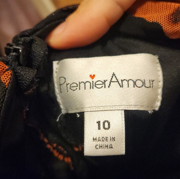 Premier Amour Floral Mesh Short Sleeve Midi Sheath Dress SIZE 10 - Picture 6 of 9